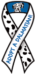 Dalmatian - Adopt A (white/blue) thumbnail