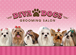 Pink Diva Dogs Card thumbnail