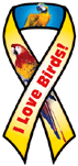 Birds - I love thumbnail