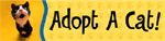Adopt A Cat Bumper thumbnail
