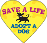 Save a Life - Adopt a Dog thumbnail