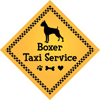 Boxer Taxi Service thumbnail