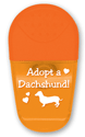 Dachshund - Adopt thumbnail