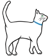 Large White Cat thumbnail