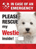 Emergency - Westie thumbnail