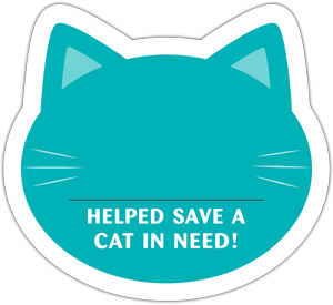 Cat Donation Card - Teal thumbnail