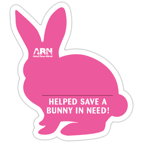 Bunny Silhouette (Pink) thumbnail