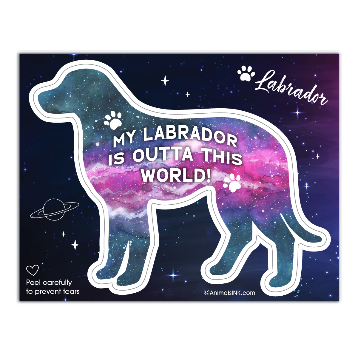 Labrador thumbnail