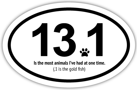 13.1 - The most animals I've had at one time thumbnail