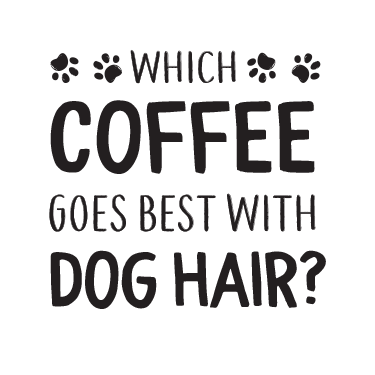 Coffee Dog Hair thumbnail