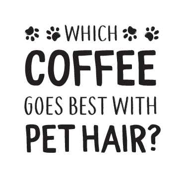 Coffee Pet Hair thumbnail
