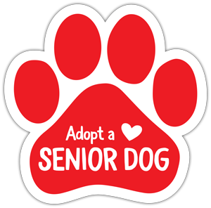 Adopt a Senior Dog thumbnail