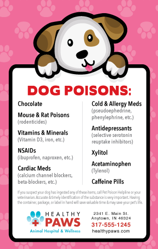 Dog Poisons (brown and white dog) thumbnail