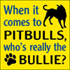 When it comes to Pitbulls, who's really the Bullie? thumbnail