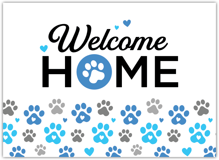 Paws (Welcome Home) thumbnail
