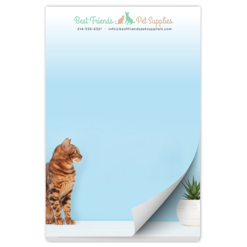 Cat and Plant thumbnail