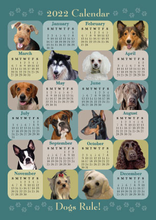 Dogs Rule! (2022 Calendar) thumbnail