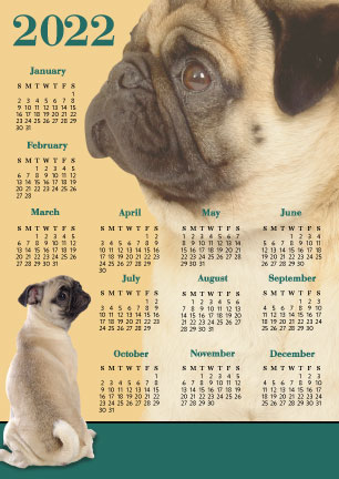 Pug (2022 Calendar) thumbnail