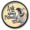Ask me about Pitbulls! thumbnail