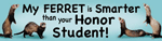 Ferret/Honor Student thumbnail