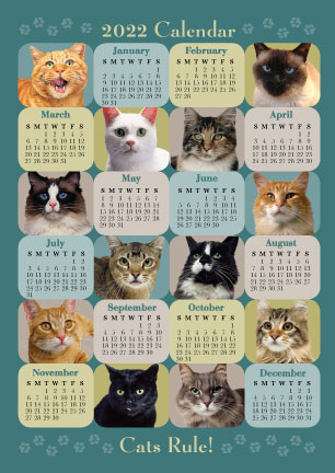 Cats Rule! (2022 Calendar) thumbnail