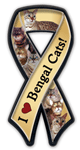 Bengal Cats thumbnail