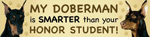 Doberman/Honor Student thumbnail
