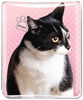 Cat (black and white) thumbnail