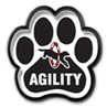 Agility thumbnail