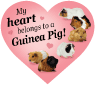 Guinea Pig thumbnail