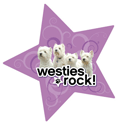 Westies Rock! thumbnail