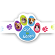 Opt to Adopt thumbnail