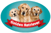 Golden  Retriever thumbnail