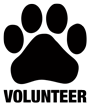 VOLUNTEER thumbnail