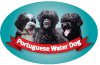 Portuguese Water Dog thumbnail