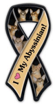 Abyssinian thumbnail