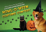 Halloween thumbnail