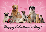 Valentines Day thumbnail