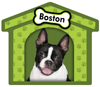 Boston Terrier thumbnail