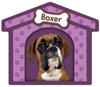 Boxer thumbnail