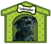 Labrador - Black thumbnail