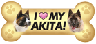 Akita thumbnail