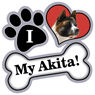 Akita thumbnail
