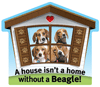 Beagle thumbnail