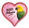 Bird Mom thumbnail