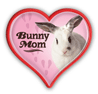 Bunny Mom thumbnail
