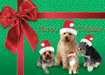 Holiday Postcard thumbnail