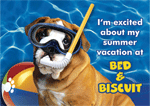 Summer Bulldog Postcard thumbnail