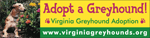 Adopt A Greyhound 2 thumbnail