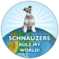 Rule my World - Schnauzers thumbnail